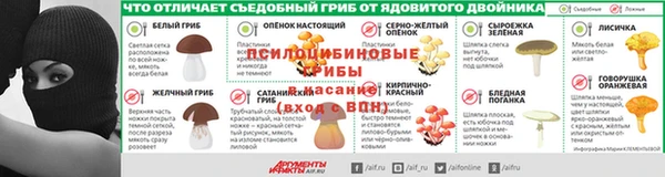 ГАЛЛЮЦИНОГЕННЫЕ ГРИБЫ Белоозёрский